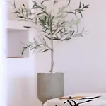 Apartman Casa Olivea *