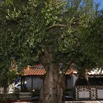 Casa Olivea Políhrono