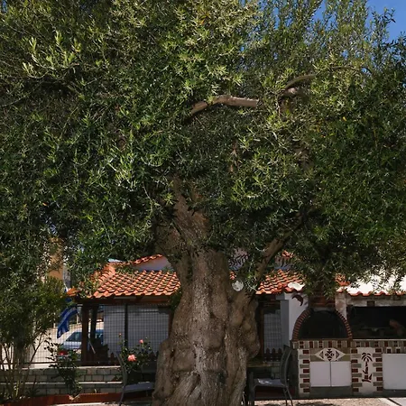 Casa Olivea Polychrono
