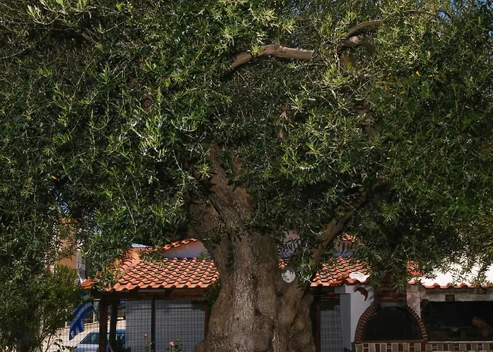 Casa Olivea Polychrono