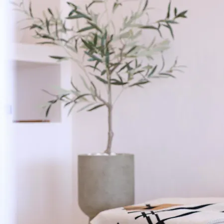 Apartman Casa Olivea *