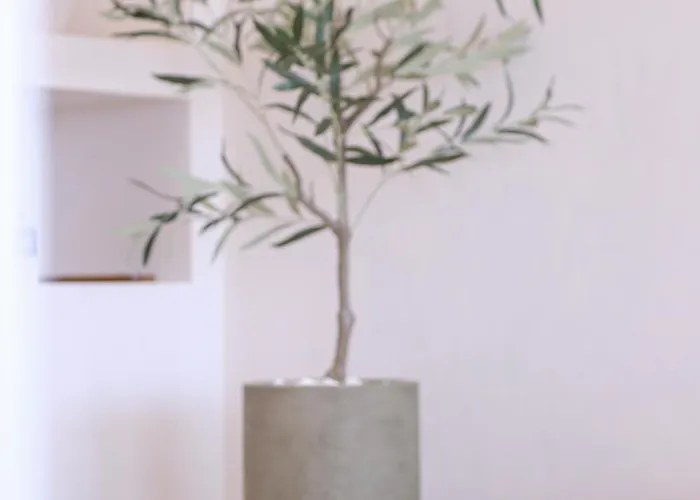 Appartement Casa Olivea *